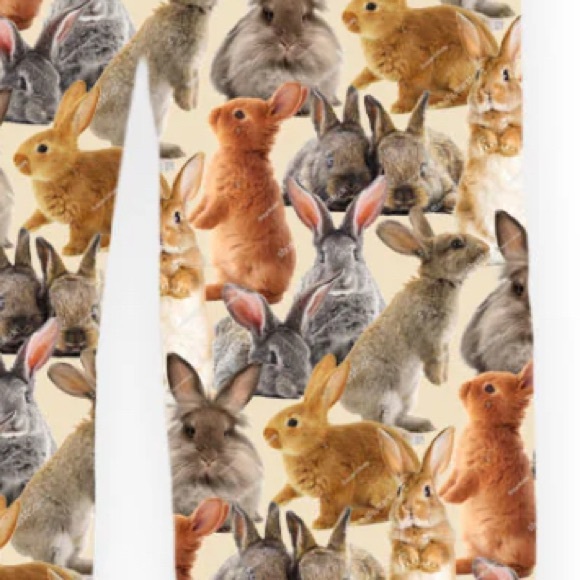 Brief Insanity Lounge Pants Bunny NWT - Picture 2 of 2